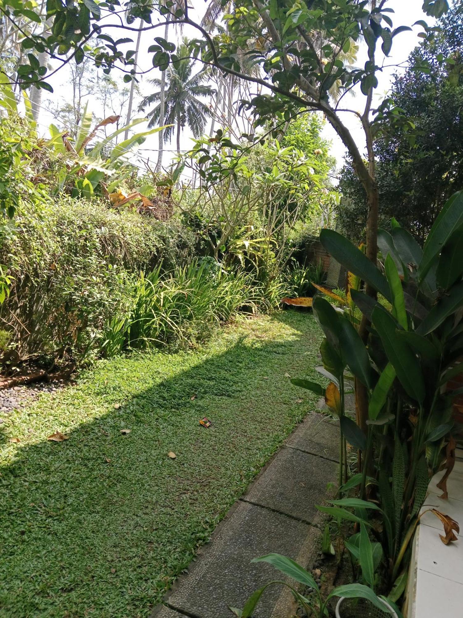 Sunrise Coconut House Otel Ubud Dış mekan fotoğraf