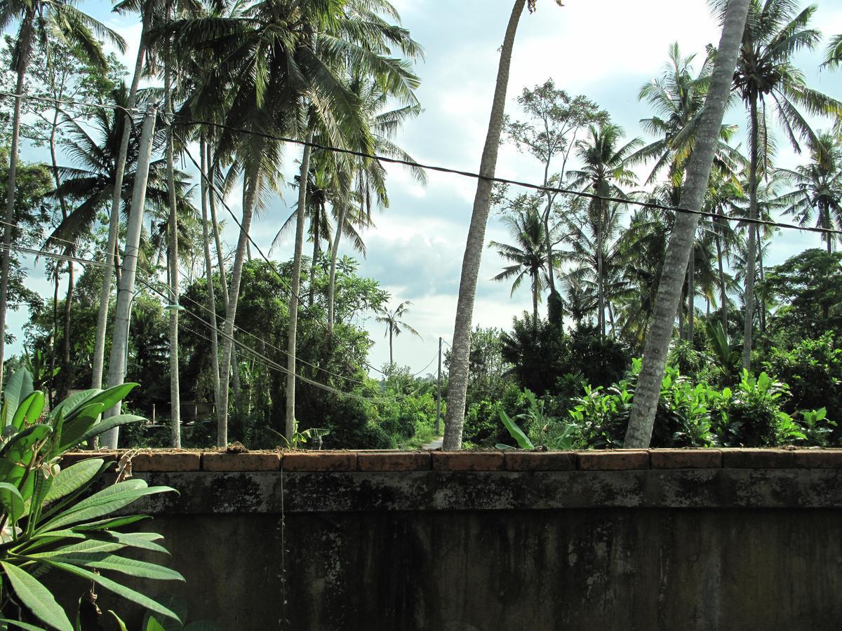 Sunrise Coconut House Otel Ubud Dış mekan fotoğraf